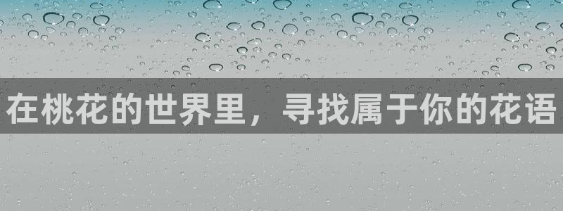 星空传媒播放