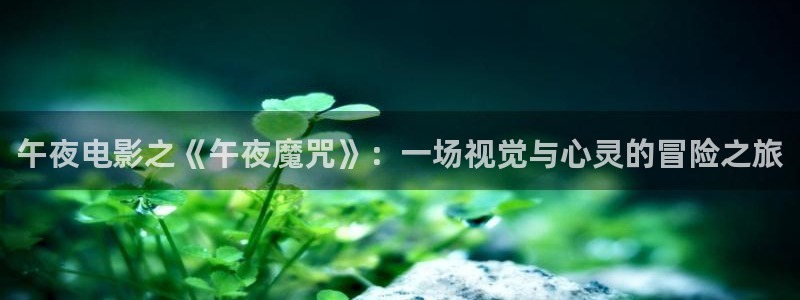2024可可影视免费观看电影