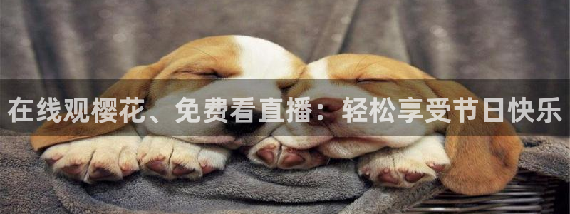 可可影视免费观看电视剧电影大全最
