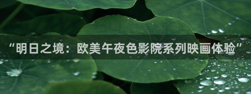 这就是灌篮星空影视