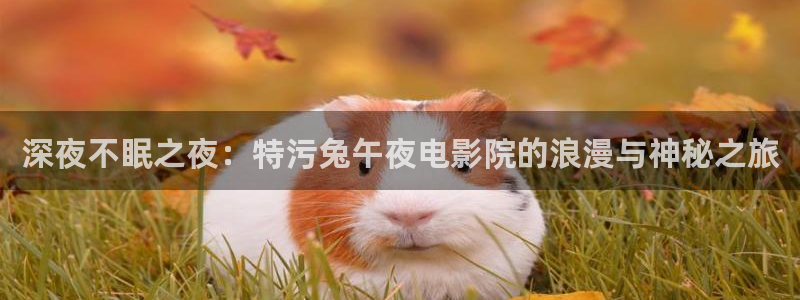 星空影视免费观看电影大全在线观看