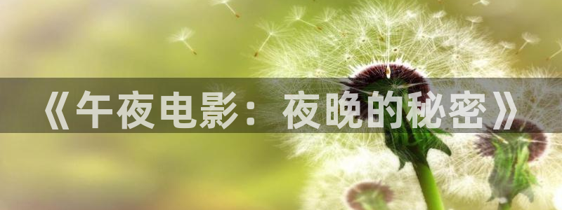 天美传奇星空高清免费