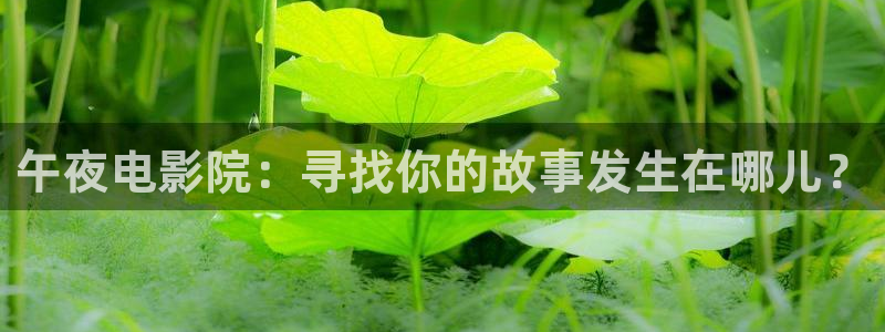 星空电影在线观看播放免费