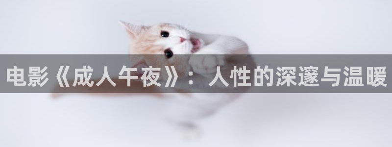 可可影视在线观看青柠电视剧免费