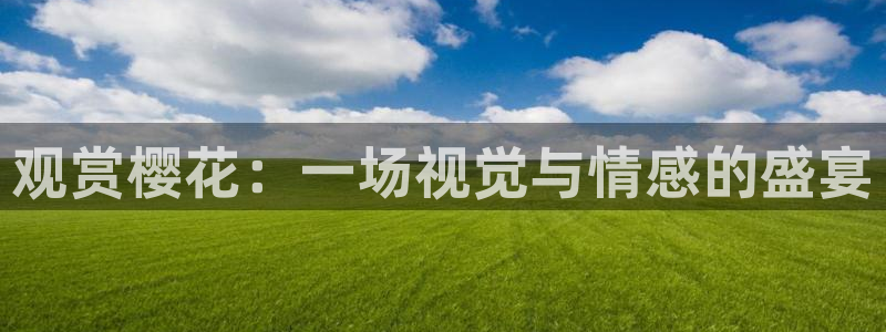 可可影视免费观看视频