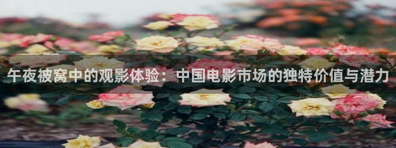 浩瀚星空电影免费观看