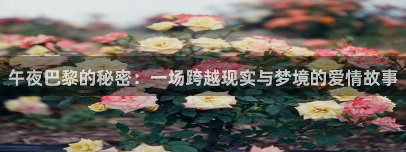 星空影视下载app