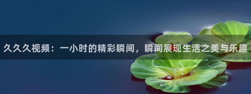 可可影视 在线播放