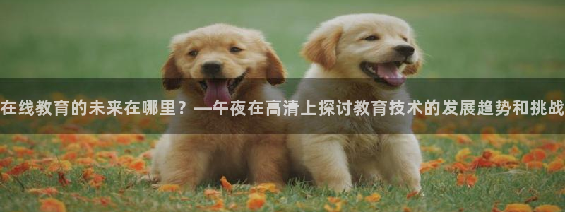 星空影视老版