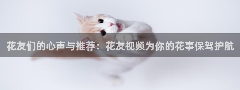 星空无限传媒高清电视剧在线观看