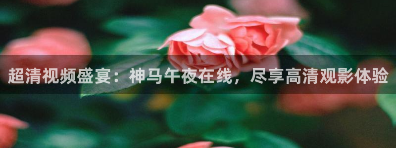 星空影视大全电视剧免费播放在线