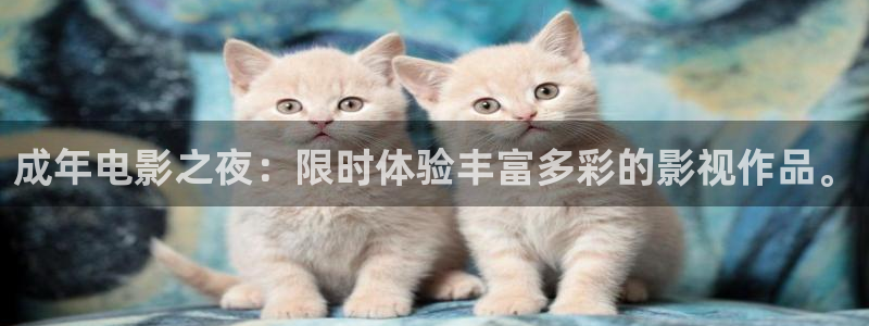 星空无限传媒免费播放