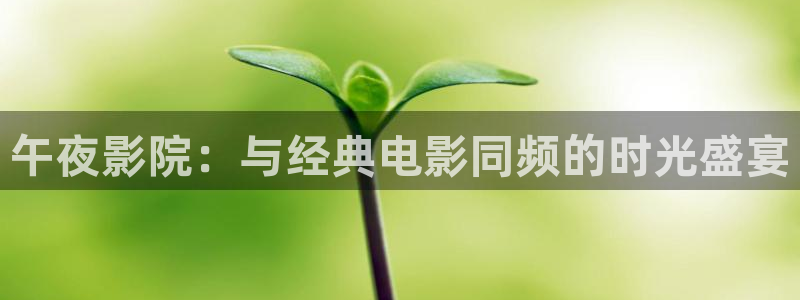 2025可可影视最新电影在线观看