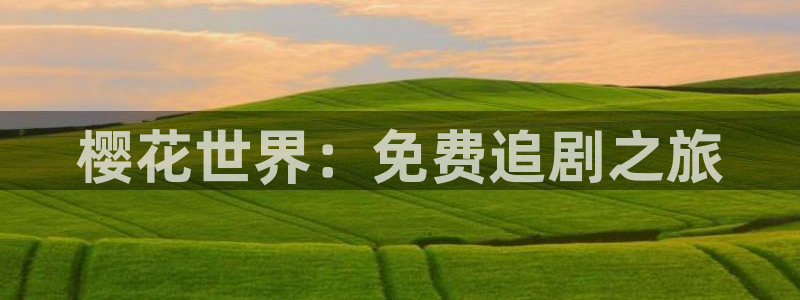 可可影视旧版本