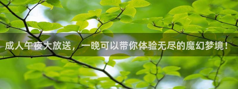 可可影视传媒