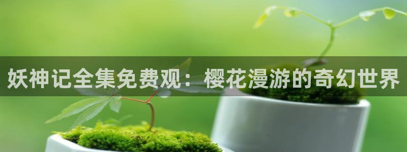 可可影视0