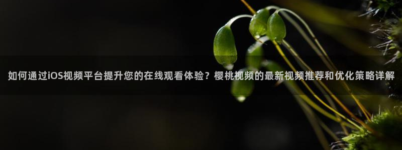 星空无痕mv免费视频观看