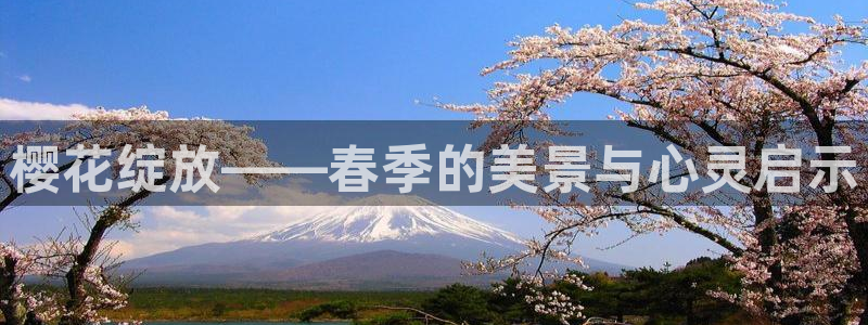 星空影视传媒