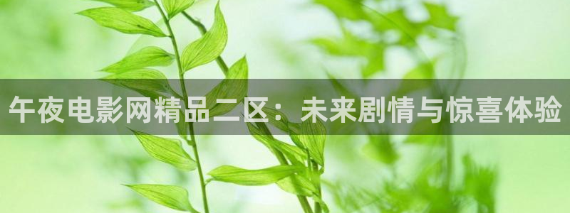 可可影视免费看电视剧