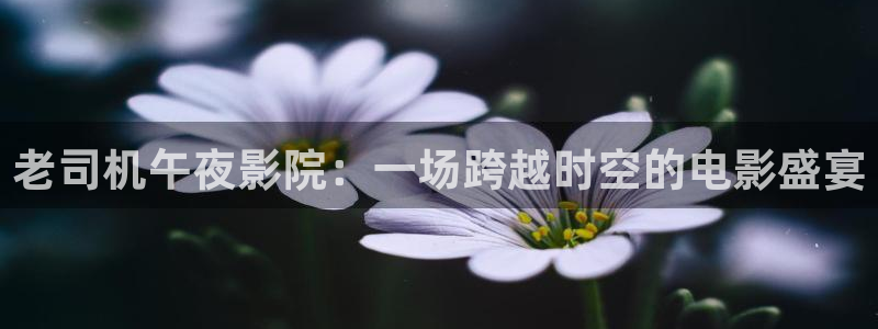 星空影视下载