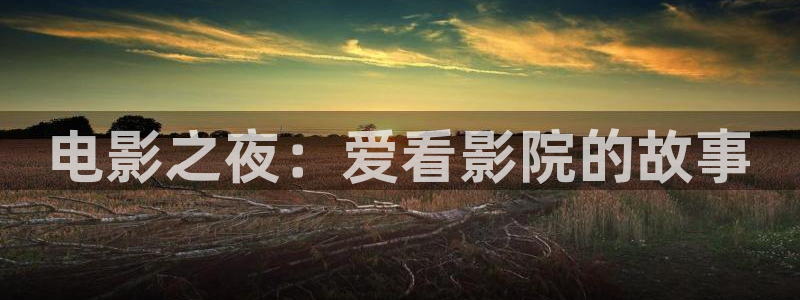 可可影视免费看