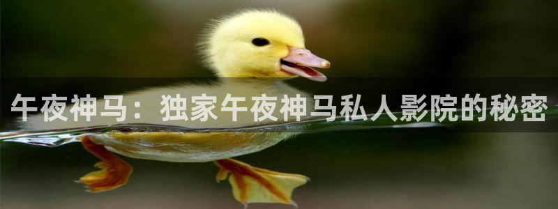 星空影视官网免费进入