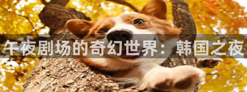 星空影视免费观看电影大全